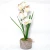 Import Orange Classic Artificial Orchid Bonsai with cement Pot_HC-DN66347 from China