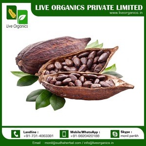 Organic Cocoa Seed