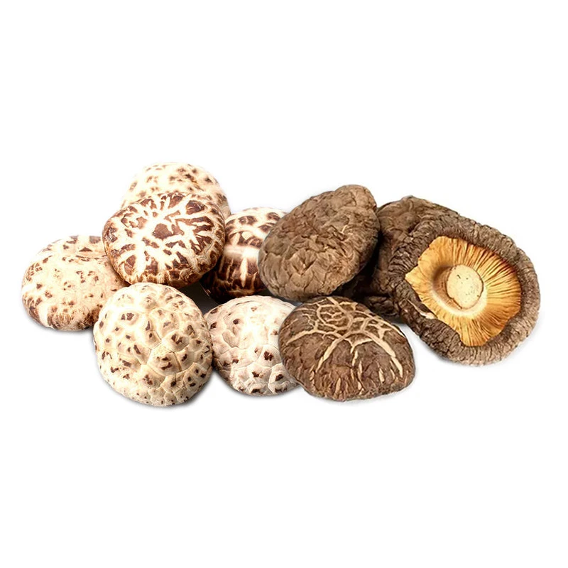Organic cultivation dried shiitake mushroom flower mushroom