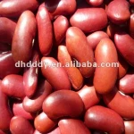 organic dark red kidney bean