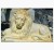 Import Outdoor Large White Marble Lion Statue For Sale Garden Life Size Stone Lion Statue DSF-T149 from Vietnam