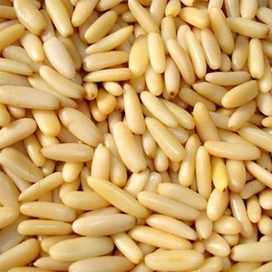 Pine Nuts, Best Quality Pine Nuts, Top Pine Nuts