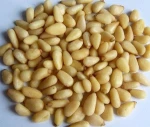 Pine nuts