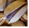 pistachio roasted turkish organic premium selected high quality