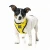 Import Print Dog harness Factory Price High Quality Reversible Harness from China
