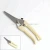 Import Promotional stainless steel straight blade garden shear from China