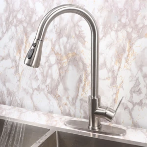 Pull Out Stainless Steel Kitchen Faucet Flexible Kitchen Water Faucet