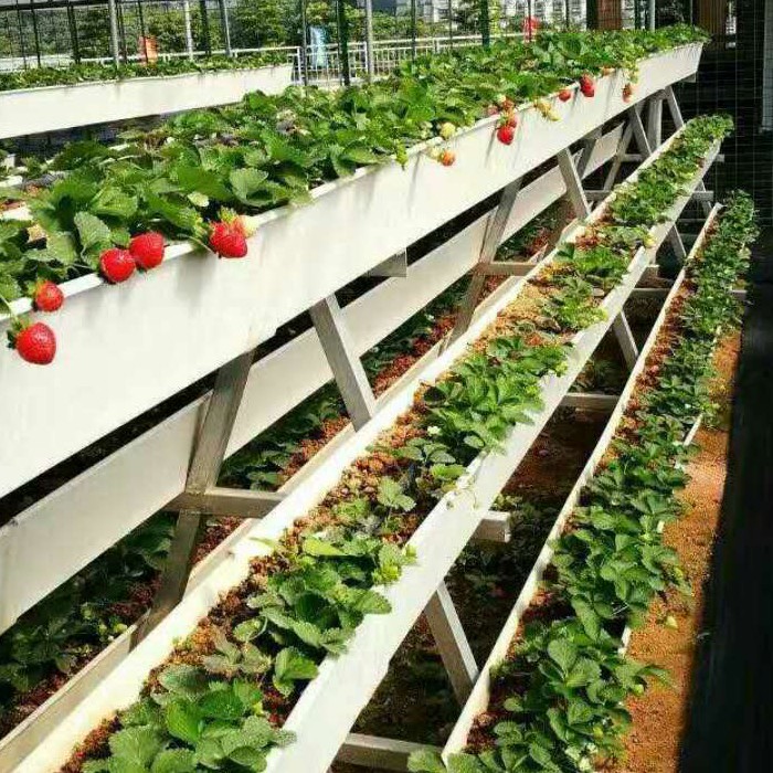 PVC Greenhouse Agricultural Hydroponic Strawberry Growing Systems Cultivation Plastic Gutter Trapezoidal White