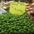 Import Quality Fresh Olives Now Available for Exportation on 30% Discount Sales from China