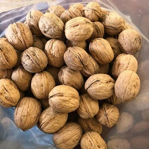 Raw Organic white walnuts in shell (bulk)