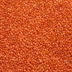 Red and Green lentils/Chickpeas/Yellow Lentils Split and Whole Red Lentils