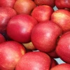 red delicious apples /honey fuji apple/green smith apple