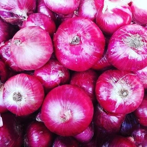 Red Onions 45-55 mm