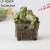 Import resin crafts with the voice outdoor garden frogs decor from China