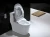 Import Sanitary ware bathroom intelligent wc toilet seat cover KD-01TS from China
