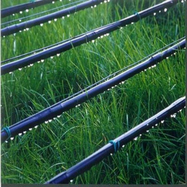 Saving Water Agriculture Plastic Tape Plant Irrigation System Rain Drip Pipe Irrigation Agriculture Drip Pipe