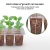 Import Seeding-Tray Pot Flower-Pot Bonsai Grow-Box Succulent-Plants Plastic Green 12 Cells from China