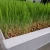 Import Seedling nursery pvc trays wholesale pvc tray plastic with holes from China