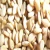 Import Sesame seeds from Benin