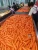 Import Shandong  fresh carrot harvest from China
