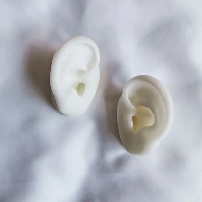Silicon gel ear model Silicon medical model
