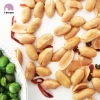 Snacks roasted blanched salted peanuts wholesale retail factory export