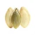 Import snow white pumpkin seeds kernel price from China