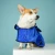 Import Soft Fast Drying Pet Cats Microfibe Dog Bathrobe Coat Robe Towel for Puppy Small Medium Large Dogs from China