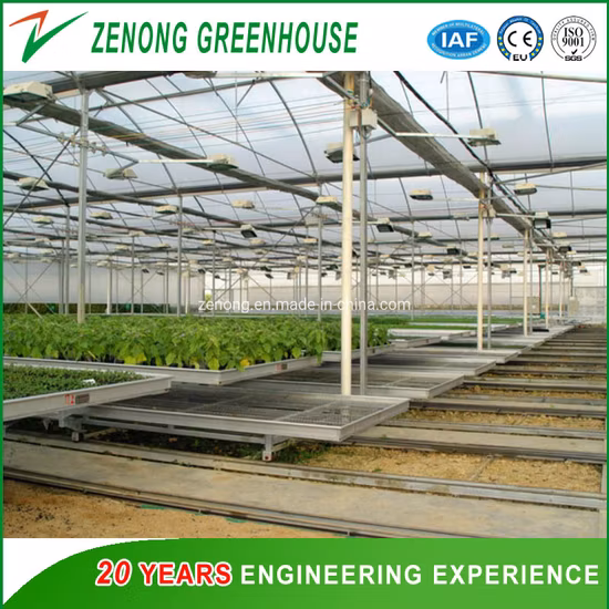 <span>PC Sheet Cover Material and Commercial Vegetables Seeds Vertical Farming Greenhouse/Multi Span Agricultural Film Hydroponics Irrigation System Plastic Film /Po</span>