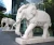 Import Stone Elephant Sculpture, Animal Carving from China