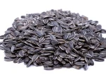 Sunflower seed kernel / sunflower seeds