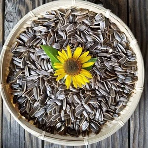 Quality Sunflower Seeds on Sale, Pre-Order Now