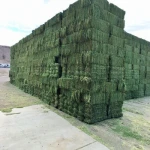 TIMOTHY/ALFAFA HAY IN BALES FOR SALE