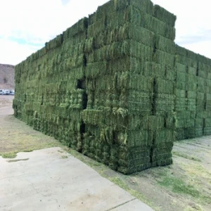 Timothy Alfafa Hay in Quality Bales For Cattle, Horse