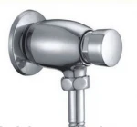 Toilet Flush Valve