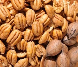 Top grade Pecans fresh raw whole in shell NEW 2019 crop