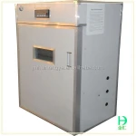 Top quality chicken egg incubator supplied by china Poultry equipment eggs solar power incubator