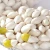 Import Top Quality Haccp Certified Frozen Ginkgo Nut from South Africa