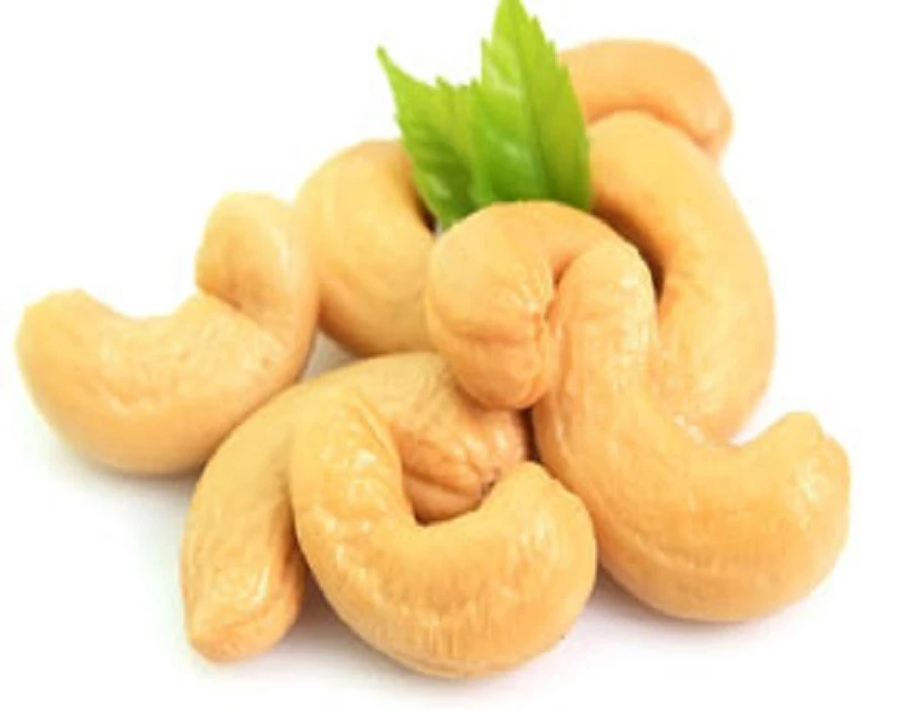 Top Quality Natural Raw and Dried Roasted Cashew Nuts W240 &amp; W320