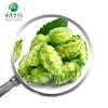 Top Quality xanthohumol Hops Extract Hops Flower Extract powder