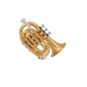 TR101China Brand Brass Pocket Trumpet