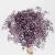 Import trade assurance Everlasting flower starry million star dried flower bouquet DIY home decoration flower from China