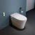 Import transparent Floor Mounted bathroom sanitary ware smart toilet sensor from China