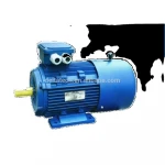 Triple-phase 2kw AC Maratrhon Electric Motor