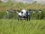 Import Tta Farm Uav Drone Crop Sprayer with Low Price Sale Agriculture Spraying Drone from China