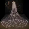 Two-Layer Tulle Lace Appliqued Long Bridal Veils NW150810