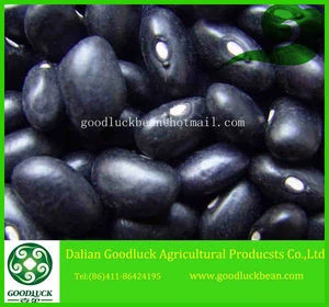Types of Black Beans,white,green,yellow kernels