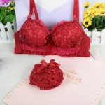 TYY-C213 Lace Bra Set Comfortable Gather Push Up Bra and Panties Set