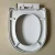 Import U-shape slow close plastic toilet seat from China