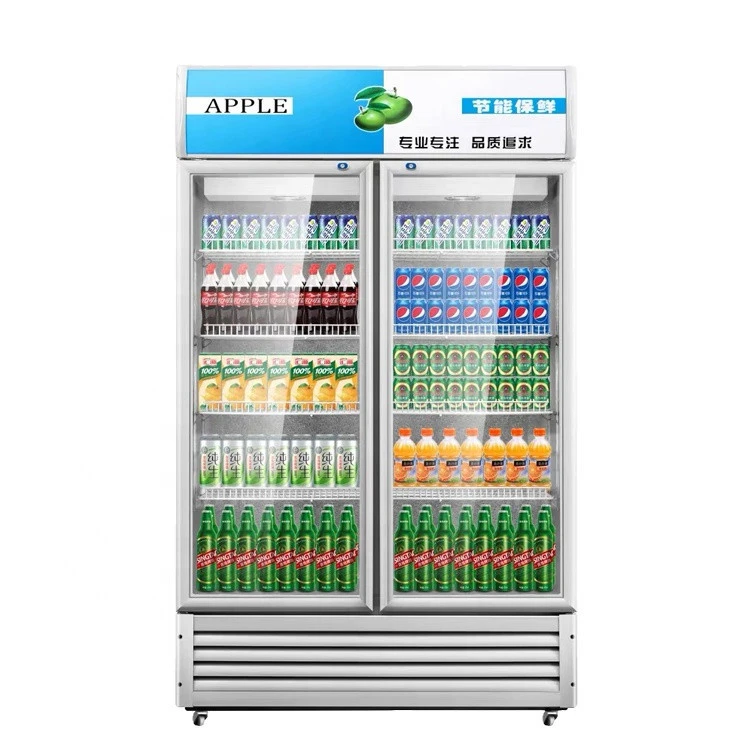 Upright Freezer Refrigerator Commercial Pepsi Double Door Deep Chest Display Wine Fridge